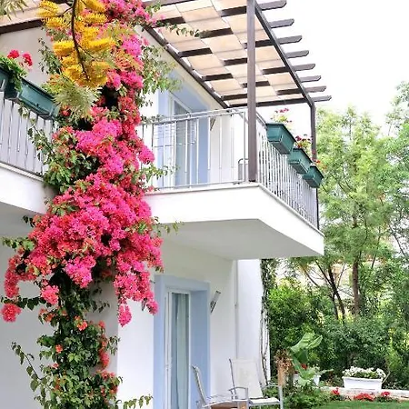 Satsuma Suites Ξενοδοχείο Αλικαρνασσός